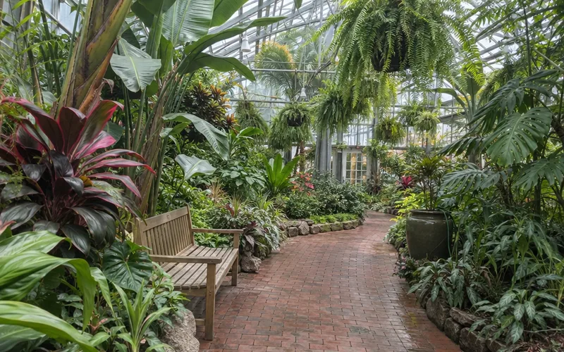 Brick path through a botanical garden conservatory full of tropical plants