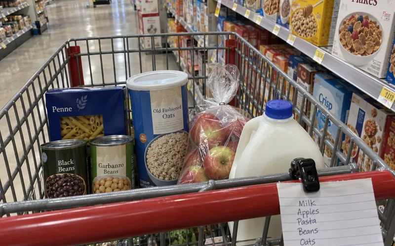 Grocery cart with store brand staples and a handwritten list